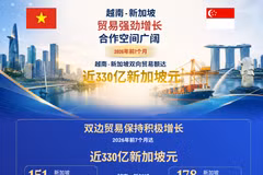 越新双边贸易强劲增长 合作空间广阔