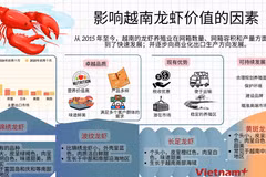 影响越南龙虾价值的因素