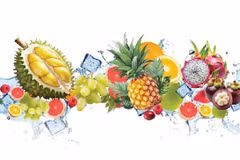 2025年南方水果节精彩纷呈
