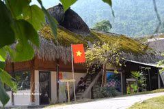 下坪村瑶族人屋顶上的苔藓之色