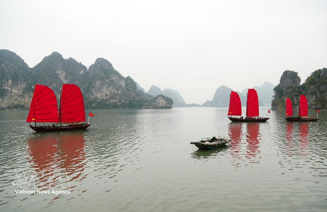 potal-quang-ninh-xuat-hien-3-chiec-thuyen-buom-do-tren-vinh-ha-long-8589304.jpg