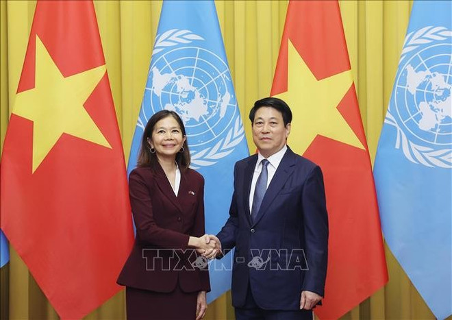 越南国家主席梁强会见联合国常驻越南协调员塔梅西斯。图自越通社 ctn-ok.jpg