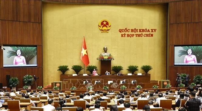 5月10日，国会副主席阮氏清在国会上发表讲话。图自越通社