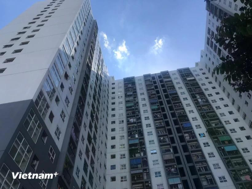 附图 图自越通社