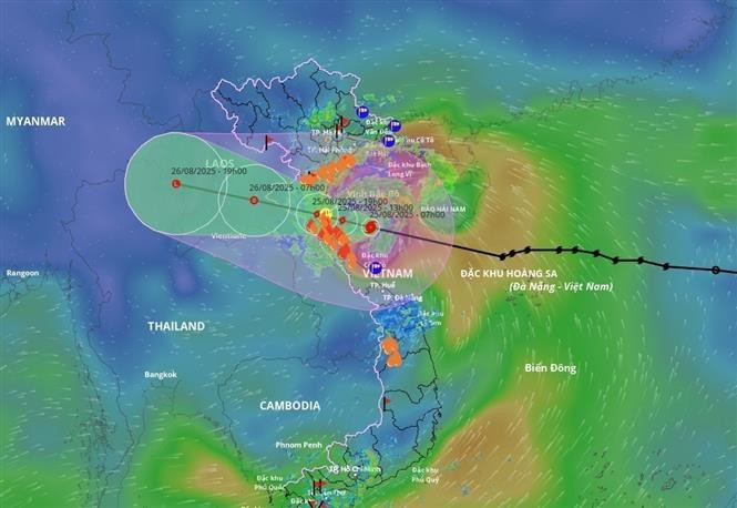 第五号台风25日10时路径图。