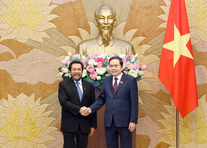 越南国会主席陈青敏与印度尼西亚地方代表理事会副主席。图自越通社
