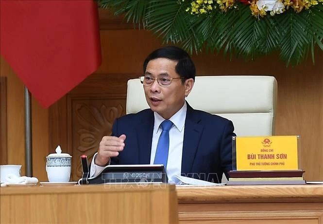 越南政府副总理裴青山会见全球越南科学家和专家协会代表。图自越通社