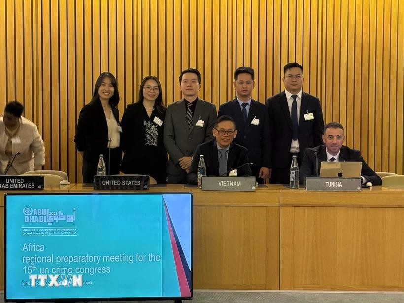 参加筹备会的越南代表团。图自越通社