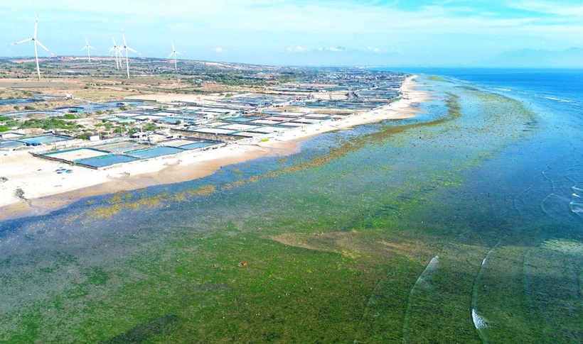 宁顺省顺南县被选为宁顺一号核电站的建设地点。图自越通社