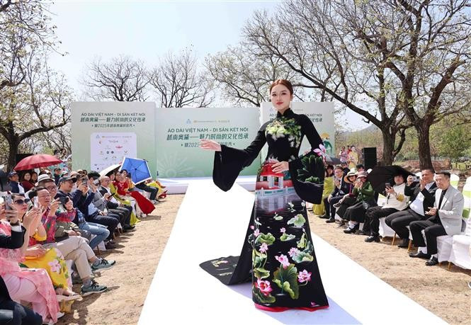 越南奥黛在北京绽放光彩。图自越通社