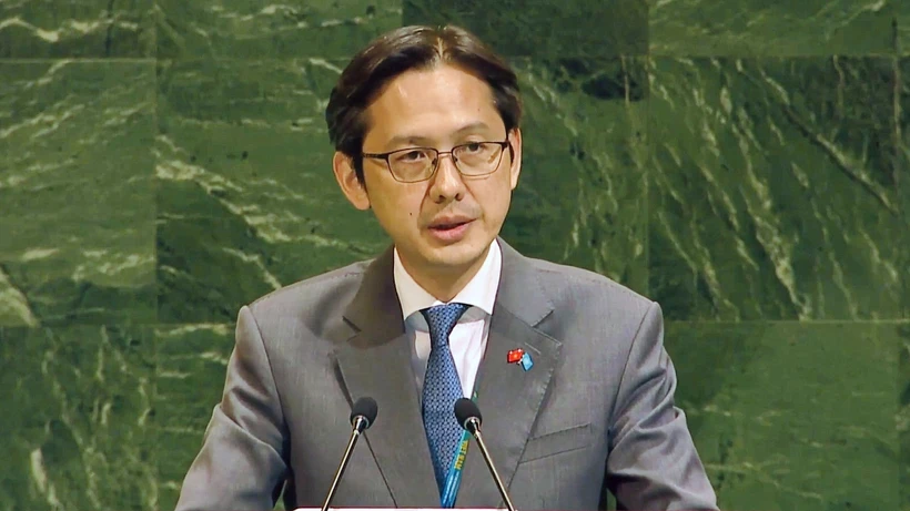 越南常驻联合国代表团团长杜雄越大使。图自越通社