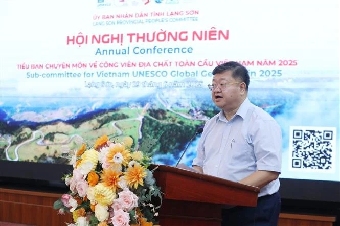 越南世界地质公园专业委员会主任、地质科学与矿产研究院院长郑海山在会议上发表讲话。图自越通社