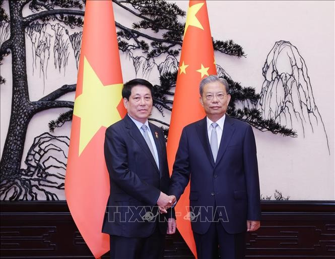 越南国家主席梁强与中国全国人大常委会委员长赵乐际。图自越通社