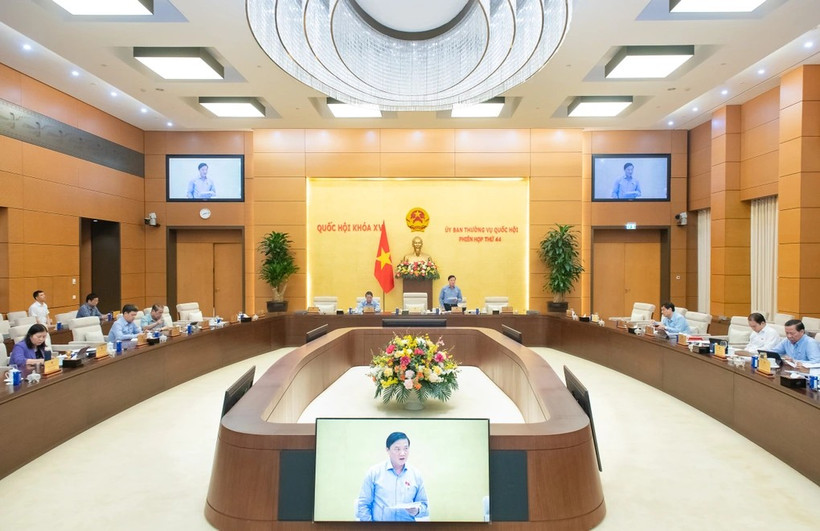 会议讨论越南国籍法草案的两项主要政策。图自dantri.com.vn