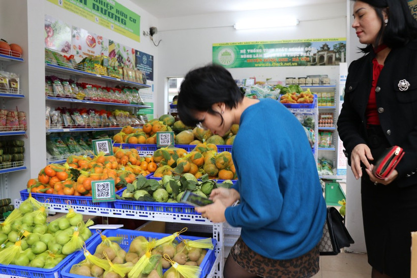 2025年6月CPI上涨3.57%，其中有9个类别价格上涨，2个类别下降。图自越通社