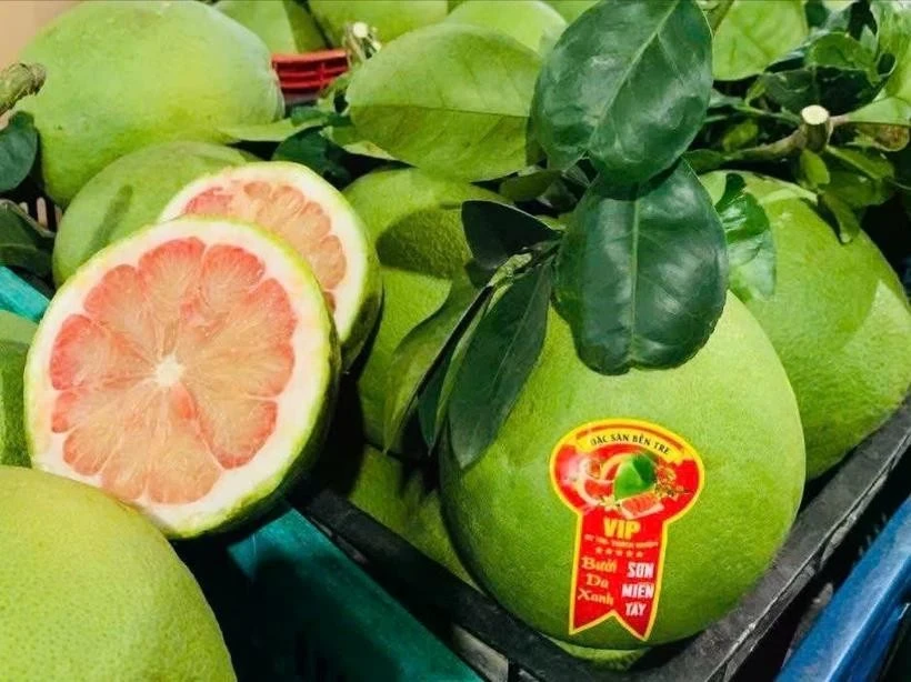 澳大利亚相信越南有能力满足生物安全标准，为柚子产业带来了巨大的机遇。图自： Vietnam+