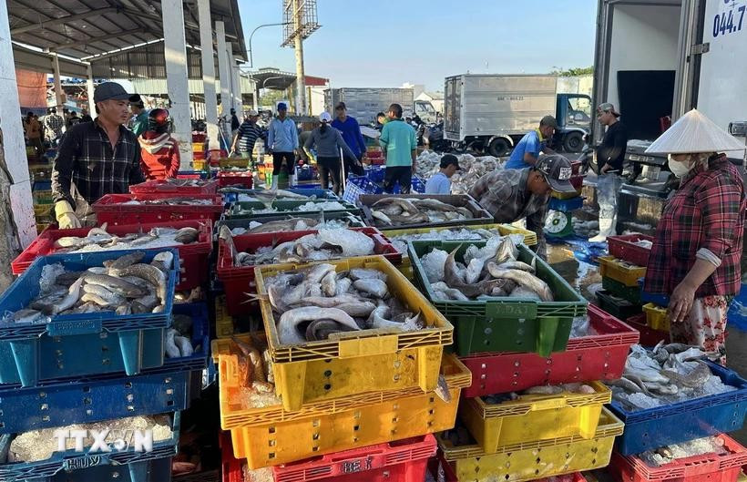 坚江省州城县一个渔港。图自越通社