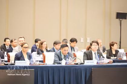 越南农业与环境部副部长阮国治率团出席会议。图自越通社