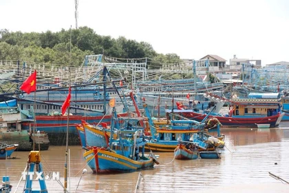 附图。图自越通社