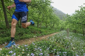 2019年越野马拉松赛即将在山罗省举行