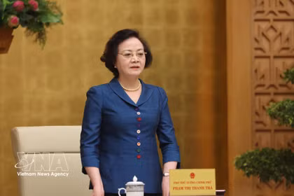 越南政府副总理范氏清茶发表讲话。图自越通社