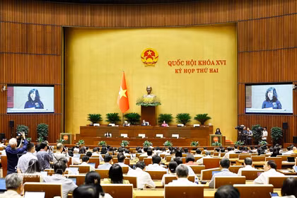 越南卫生部部长陶红兰在会上发表讲话。图自越通社