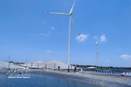 永隆省正在开发高科技虾类养殖和风电项目。图自越通社
