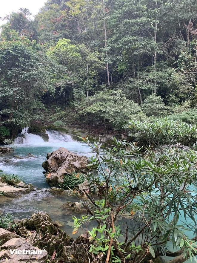 北坡遗址清澈见底的溪水 图自Vietnam+ 1405suoilenin-503.jpg (1).webp