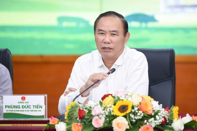 越南农业与农村发展部副部长冯德进。图自Vietnam+ 2.jpg
