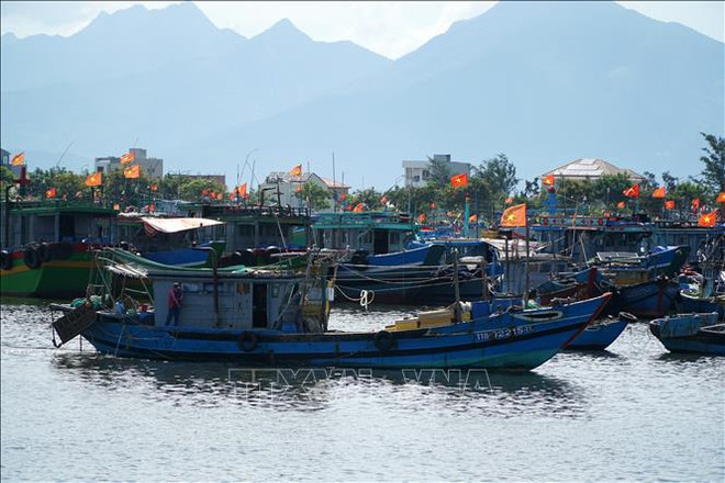 岘港市寿光渔港的渔船。图自越通社 the-vang-iuu-2562024.jpg