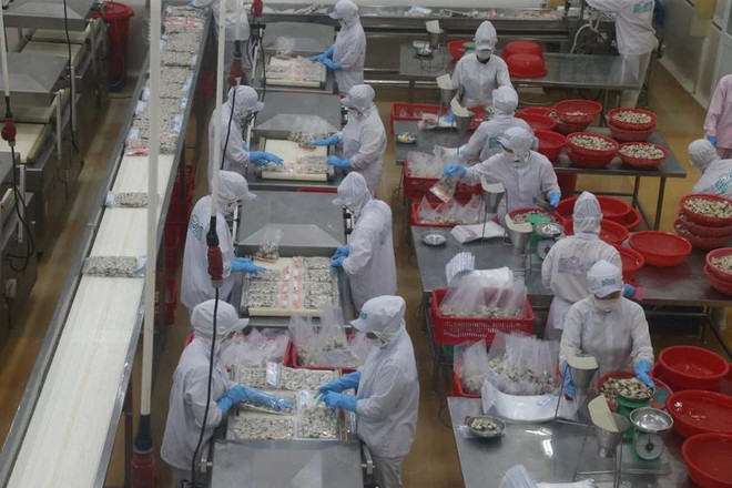 90%的越南企业有兴趣开拓国际市场。图自Vietnam+ anh-2-3-2990.jpg.webp