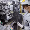 Mektec Manufacturing（越南）有限责任公司（日本独资）在兴安省美豪坊升龙二号工业园区的工厂内。图自越通社