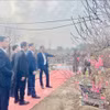 出席“日新桃花—红河春色”活动开幕式的代表们欣赏日新桃花种植村艺人制作的艺术桃花作品。图自越通社