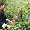 得隆乡瓦庄村村长伊冷（2000年出生，左一）走访慰问村民。图自越通社