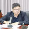 中国福建省华侨大学海上丝绸之路研究院院长黄日涵教授 图自越通社