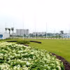附图 图自shtp.hochiminhcity.gov.vn
