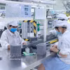 在富寿省平川一号工业园区的Star Engineers越南公司进行电子零部件生产。图自越通社