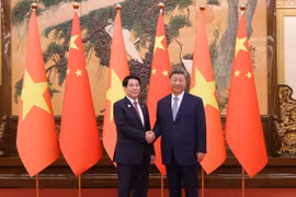 中共中央总书记、国家主席习近平迎接国家主席梁强。图自越通社