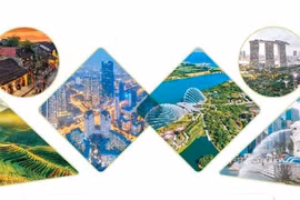 越南-新加坡全面战略伙伴关系