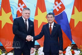 越南与斯洛伐克将关系提升为战略伙伴关系