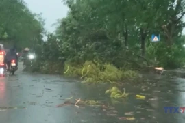 越南北部多地突发强雷雨天气