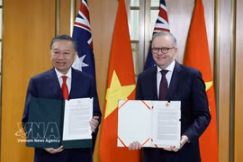 越共中央总书记、国家主席苏林与澳大利亚总理举行会谈