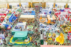 春季博览会之越南年货新叙事