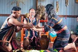 嘉莱省嘉莱族独特的求婚仪式