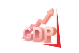 2025年越南全国GDP增长8.02%