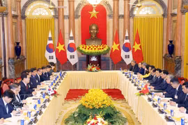 越共中央总书记、国家主席苏林与韩国总统李在明举行会谈