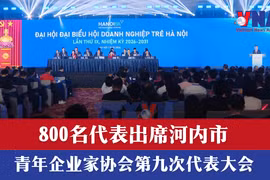 800名代表出席河内市青年企业家协会第九次代表大会