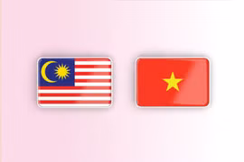 越南—马来西亚全面战略伙伴关系