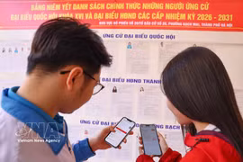第57号决议：VNeID应用助力大学生参与第十六届国会和各级人民议会代表选举