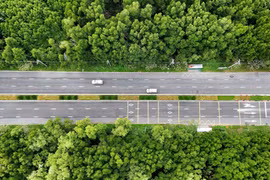 胡志明市穿越红树林公路之美